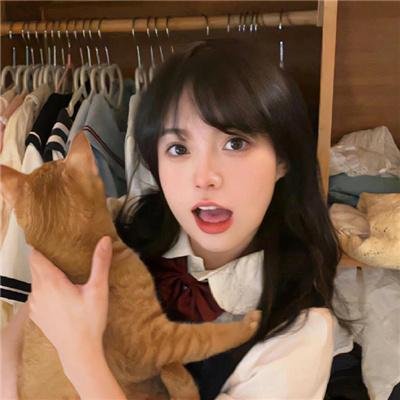 爱在猫咪疗愈时